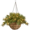 Christmas Central 20" Pre-Lit Battery-Operated Tiffany Fir Artificial Christmas Hanging Basket - Warm White LED Lights 2 Christmas Central 20" Pre-Lit Battery-Operated Tiffany Fir Artificial Christmas Hanging Basket - Warm White LED Lights -Christmas Central afpckpgj646noerpuognt9hlp2yjbtbn 89668.1588406500