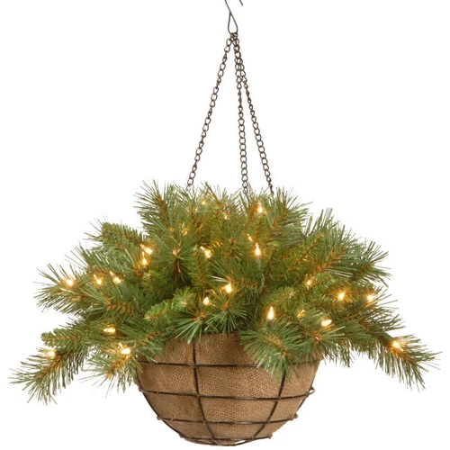 Christmas Central 20" Pre-Lit Battery-Operated Tiffany Fir Artificial Christmas Hanging Basket - Warm White LED Lights 3 Christmas Central 20" Pre-Lit Battery-Operated Tiffany Fir Artificial Christmas Hanging Basket - Warm White LED Lights