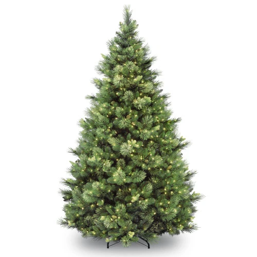 Christmas Central 6.5 Ft. Carolina Pine Tree With Clear Lights 3 Christmas Central 6.5 Ft. Carolina Pine Tree With Clear Lights