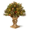 Christmas Central 2' Pre-lit Crestwood Spruce Porch Bush Artificial Christmas Tree, Clear Lights -Christmas Central cw7 300 24p 67330.1587644017