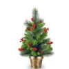Christmas Central 2' Potted Crestwood Spruce Artificial Christmas Tree – Unlit -Christmas Central cw7 701 20 04176.1588344960