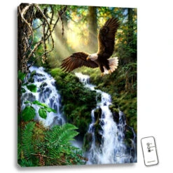 Christmas Central 24" X 18" Brown And Green Eagle's Flight Backlit LED Wall Art With Remote Control