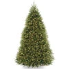 Christmas Central 9 Ft. Dunhill(R) Fir Tree With Clear Lights 1 Christmas Central 9 Ft. Dunhill(R) Fir Tree With Clear Lights -Christmas Central dnat1 36051.1664989119