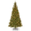 Christmas Central 7' Pre-Lit Aspen Spruce Artificial Christmas Tree, White Lights 2 Christmas Central 7' Pre-Lit Aspen Spruce Artificial Christmas Tree, White Lights -Christmas Central dnat20ap7 300 70 99538.1588344948