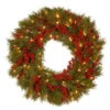 Christmas Central 24" Pre-Lit B/O LED Valley Pine Artificial Christmas Wreath – Warm White Lights -Christmas Central dnat20dc13 157 24wb 1 79525.1588344930