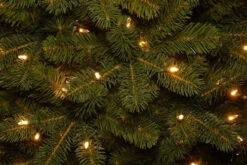 Christmas Central -Christmas Central dnat20pedd1 312ld 10x 1 19765.1588348927