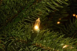 Christmas Central 10’ Pre-Lit Downswept Douglas Fir Artificial Christmas Tree, Clear LED Lights -Christmas Central dnat20pedd1 312ld 10x 2 93347.1588348927