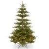 Christmas Central 7.5’ Pre-Lit Glenwood Fir Artificial Christmas Tree, Clear Lights 1 Christmas Central 7.5’ Pre-Lit Glenwood Fir Artificial Christmas Tree, Clear Lights -Christmas Central dnat20pegw3 307p 75 38507.1588370504
