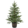 Christmas Central 4' Potted Norwegian Spruce Entrance Artificial Christmas Tree, Unlit -Christmas Central dnat20peng4 700 40p 69044.1588348946