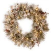 Christmas Central Pre-Lit Snowy Bedford Pine Artificial Christmas Wreath, 30-Inch, LED Lights 1 Christmas Central Pre-Lit Snowy Bedford Pine Artificial Christmas Wreath, 30-Inch, LED Lights -Christmas Central dnat20sbe1 308 30wbc1 14908.1588371431