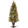 Christmas Central 5" Pre-Lit Potted Wintry Pine Artificial Christmas Tree, Clear Lights -Christmas Central dnat20wp1e28090302e2809050 99994.1588370679