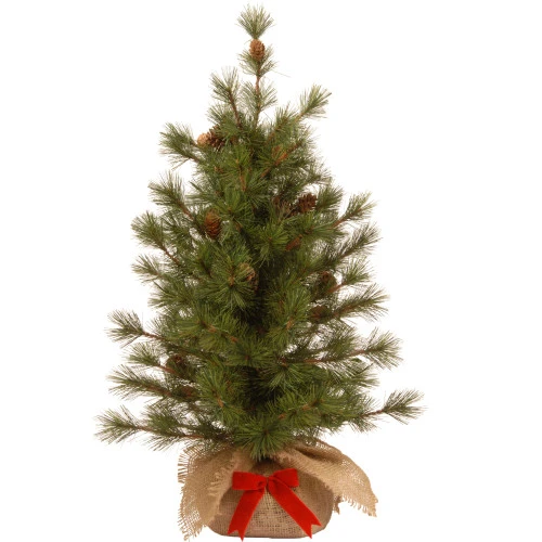 Christmas Central 3' Slim Bristle Cone Pine Burlap Base Artificial Christmas Tree - Unlit 3 Christmas Central 3' Slim Bristle Cone Pine Burlap Base Artificial Christmas Tree - Unlit