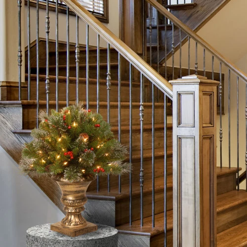 Christmas Central 2' Pre-lit Crestwood Spruce Porch Bush Artificial Christmas Tree, Clear Lights 4 Christmas Central 2' Pre-lit Crestwood Spruce Porch Bush Artificial Christmas Tree, Clear Lights - Image 2