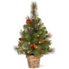 Christmas Central 2' Pre-lit Potted Vibrantly Colored Crestwood Spruce Artificial Christmas Tree β Clear Lights 2 Christmas Central 2' Pre-lit Potted Vibrantly Colored Crestwood Spruce Artificial Christmas Tree β Clear Lights -Christmas Central dnat cw7 306 20 43134.1664379666