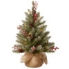 Christmas Central 2' Pre-Lit Dunhill Fir Artificial Christmas Tree - Warm White LED Lights 1 Christmas Central 2' Pre-Lit Dunhill Fir Artificial Christmas Tree - Warm White LED Lights -Christmas Central dnat duf 300 20 b1 25959.1587645158