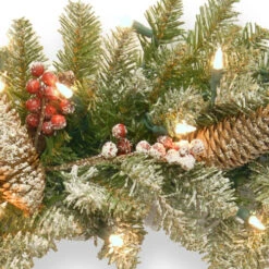 Christmas Central Pre-Lit Dunhill Fir Artificial Christmas Wreath With Red Berries – 24-Inch Clear Lights -Christmas Central dnat duf 300 24w 1 3 20778.1631812950