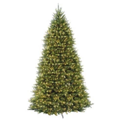 Christmas Central 10’ Pre-Lit Dunhill Fir Artificial Christmas Tree - Clear Lights