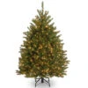 Christmas Central 4β Pre-Lit Dunhill Fir Artificial Christmas Tree - Clear Lights 1 Christmas Central 4β Pre-Lit Dunhill Fir Artificial Christmas Tree - Clear Lights -Christmas Central dnat duh 40lo 1 38160.1665087793