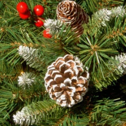 Christmas Central Frosted Pinecones And Berry Artificial Christmas Wreath, 24-Inch, Unlit -Christmas Central dnat frb 24w 1 3 35177.1631812959