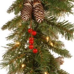 Christmas Central 9' X 10" Pre-Lit Frosted Berry Artificial Christmas Garland, Clear Lights -Christmas Central dnat frb 9glo 1 3 27061.1664467288