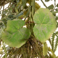 Christmas Central 45" Unlit Garden Accents Fern And Lavender Artificial Garland -Christmas Central dnat gagl30 45ggl 4 41015.1631812637