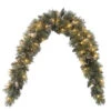 Christmas Central 6' X 1" Pre-Lit Glittery Bristle Pine Mantel Artificial Christmas Swag, Clear Lights 1 Christmas Central 6' X 1" Pre-Lit Glittery Bristle Pine Mantel Artificial Christmas Swag, Clear Lights -Christmas Central dnat gb1 300 6m 1 1 10725.1642809985