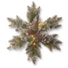 Christmas Central 18" Pre-Lit Pine Snowflake Artificial Christmas Wreath, Warm White LED Lights -Christmas Central dnat gb1 300l 18sb 1 1 27680.1664989116