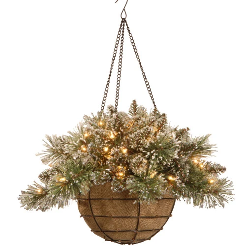 Christmas Central 20" Glittery Bristle Pine Hanging Basket With White Tipped Cones 3 Christmas Central 20" Glittery Bristle Pine Hanging Basket With White Tipped Cones