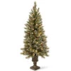 Christmas Central 4’ Pre-Lit Glittery Bristle Entrance Artificial Christmas Tree, Warm White LED Lights 2 Christmas Central 4’ Pre-Lit Glittery Bristle Entrance Artificial Christmas Tree, Warm White LED Lights -Christmas Central dnat gb3 326 40 1 09231.1664294124