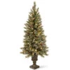 Christmas Central 5’ Pre-Lit Potted Glittery Bristle Pine Artificial Christmas Tree, White LED Lights -Christmas Central dnat gb3 326 50 1 55055.1631812950
