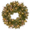 Christmas Central Pre-Lit Frosted Mountain Spruce Artificial Christmas Wreath, 24-Inch, White Lights 2 Christmas Central Pre-Lit Frosted Mountain Spruce Artificial Christmas Wreath, 24-Inch, White Lights -Christmas Central dnat glm1 300 24w b1 1 90395.1631812945