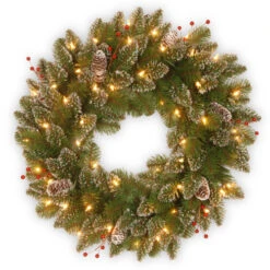 Christmas Central Pre-Lit Frosted Mountain Spruce Artificial Christmas Wreath, 24-Inch, White Lights