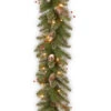 Christmas Central 9' X 10" Pre-Lit Glittery Mountain Spruce Artificial Christmas Garland, Clear Lights 1 Christmas Central 9' X 10" Pre-Lit Glittery Mountain Spruce Artificial Christmas Garland, Clear Lights -Christmas Central dnat glm1 300 9a 1 1 20845.1631812945