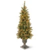 Christmas Central 4' Pre-lit Potted Berries And Cones Medium Artificial Christmas Tree, Clear Lights -Christmas Central dnat gpg3 341 40 1 18471.1631812645