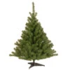Christmas Central 4’ Kincaid Spruce Artificial Christmas Tree, Unlit -Christmas Central dnat kcdr 40 1 28812.1663860825