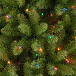Christmas Central 7’ Pre-lit Kingswood Fir Pencil Artificial Christmas Tree, Multicolor Lights 7 Christmas Central 7’ Pre-lit Kingswood Fir Pencil Artificial Christmas Tree, Multicolor Lights -Christmas Central dnat kw7 313 70 3 89387.1663860511
