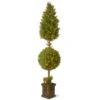 Christmas Central 6' Pre-lit Potted Juniper Spiral Pencil Artificial Christmas Tree - Clear Lights 1 Christmas Central 6' Pre-lit Potted Juniper Spiral Pencil Artificial Christmas Tree - Clear Lights -Christmas Central dnat lcyt4 302 72 1 02748.1587645163