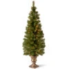 Christmas Central 5’ Pre-Lit Potted Montclair Spruce Christmas Tree, Clear Lights -Christmas Central dnat mc7 308 50 01 21192.1664724868