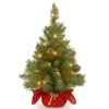 Christmas Central 2’ Pre-lit Potted Majestic Fir Tree Artificial Christmas Tree, White Lights 1 Christmas Central 2’ Pre-lit Potted Majestic Fir Tree Artificial Christmas Tree, White Lights -Christmas Central dnat mj3 24bglo 1 01 95727.1631812948