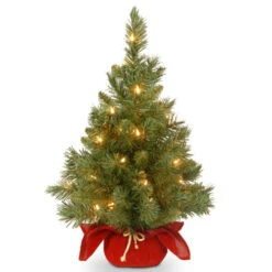 Christmas Central 2’ Pre-lit Potted Majestic Fir Tree Artificial Christmas Tree, White Lights