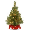 Christmas Central 2' Pre-Lit Potted Majestic Fir Full Artificial Christmas Tree, White LED Lights 2 Christmas Central 2' Pre-Lit Potted Majestic Fir Full Artificial Christmas Tree, White LED Lights -Christmas Central dnat mj3 24bglo b1 1 98335.1587645163