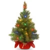 Christmas Central 2' Pre-Lit Potted Majestic Fir Full Artificial Christmas Tree, Multicolor LED Lights 1 Christmas Central 2' Pre-Lit Potted Majestic Fir Full Artificial Christmas Tree, Multicolor LED Lights -Christmas Central dnat mj3 24bgrlo b1 1 25898.1663688864