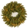Christmas Central Pre-Lit Norwood Fir Artificial Christmas Wreath, 24-Inch, Clear Lights -Christmas Central dnat nf 24wlo 1 1 31065.1638203361