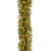 Christmas Central 9' Pre-Lit Norwood Fir Artificial Christmas Garland, Clear Lights -Christmas Central dnat nf 9blo 1 1 17075.1631812951