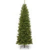 Christmas Central 6’ North Valley Spruce Pencil Slim Artificial Christmas Tree, Unlit -Christmas Central dnat nrv7 505 60 1 14528.1664990322