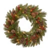 Christmas Central Pre-Lit Bristle Berry Artificial Christmas Wreath, 30-Inch, Warm White LED Lights 2 Christmas Central Pre-Lit Bristle Berry Artificial Christmas Wreath, 30-Inch, Warm White LED Lights -Christmas Central dnat pebb3 300 24wb1 1 82187.1587645163