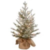 Christmas Central 2.5' Pre-Lit Potted Snowy Cambridge Medium Artificial Christmas Tree, White LED Lights 1 Christmas Central 2.5' Pre-Lit Potted Snowy Cambridge Medium Artificial Christmas Tree, White LED Lights -Christmas Central dnat pecaf1 306 25b1 1 36627.1665346763
