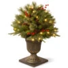Christmas Central 2' Pre-lit Potted Colonial Porch Bush Artificial Christmas Tree, Clear Lights -Christmas Central dnat peco1 300 24p 1 08078.1631812352