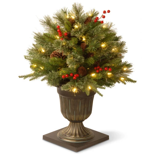 Christmas Central 2' Pre-lit Potted Colonial Porch Bush Artificial Christmas Tree, Clear Lights 3 Christmas Central 2' Pre-lit Potted Colonial Porch Bush Artificial Christmas Tree, Clear Lights