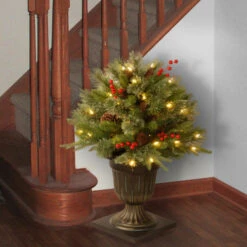 Christmas Central 2' Pre-lit Potted Colonial Porch Bush Artificial Christmas Tree, Clear Lights 7 Christmas Central 2' Pre-lit Potted Colonial Porch Bush Artificial Christmas Tree, Clear Lights -Christmas Central dnat peco1 300 24p 3 70683.1631812353
